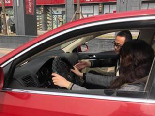 沙坪坝C1自动挡车型陪教6小时